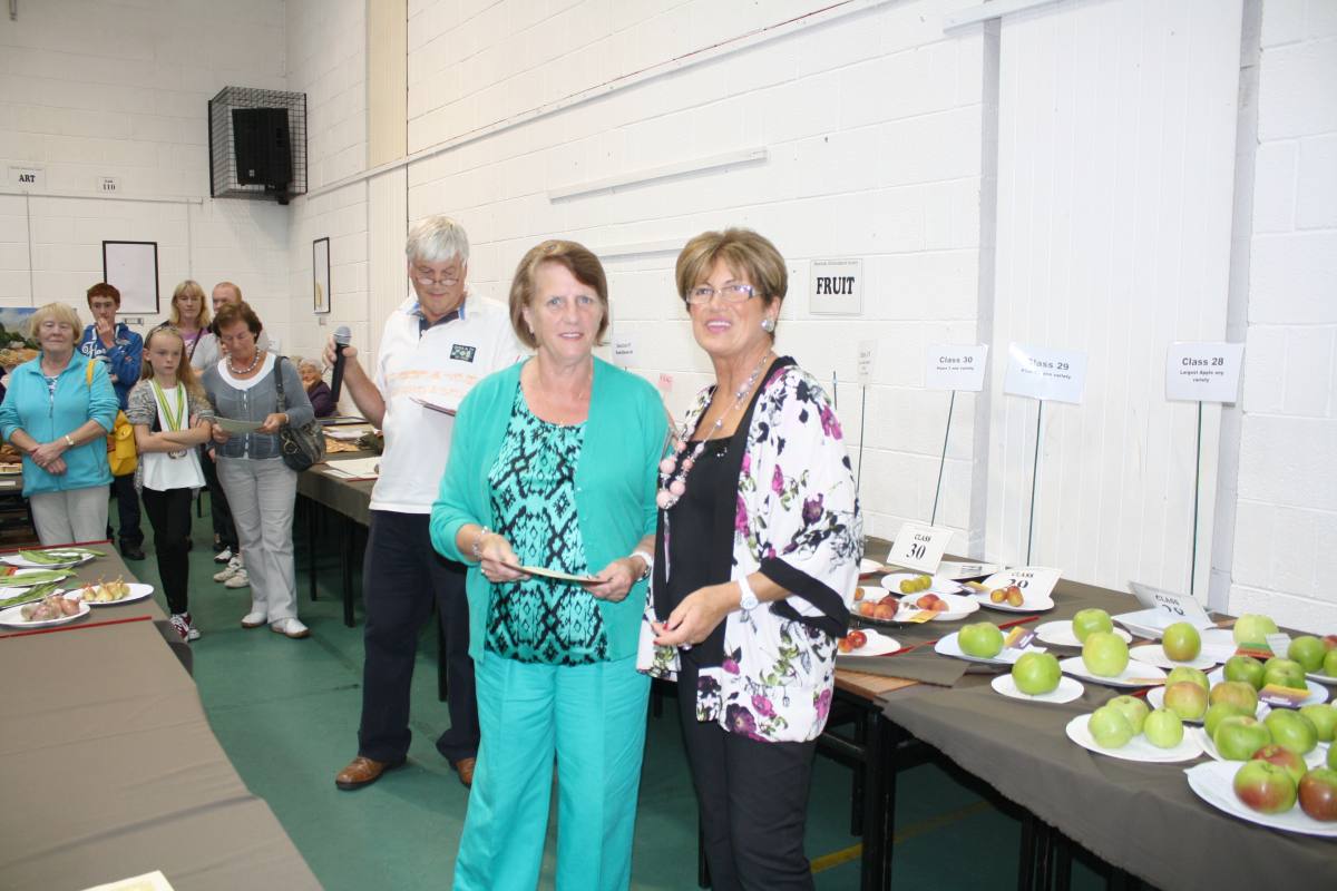 ../Images/Horticultural Show in Bunclody 2014--119.jpg